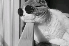 伦敦德比战术博弈：阿森纳主场迎战西汉姆联胜负手解析